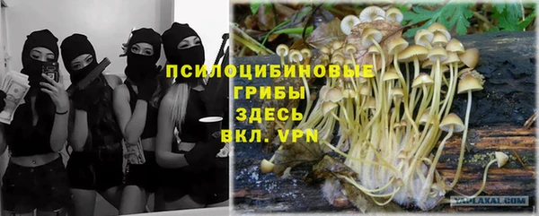 трава Алзамай