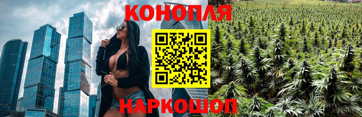 Бошки Шишки план Самара